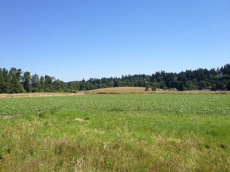 Brett Beaulieu, LHG, Presents at NEBC's Northwest Remediation Conference